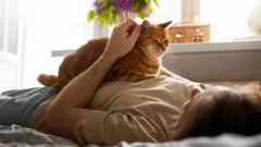 Twój mały, puszysty uzdrowiciel: dlaczego kot podchodzi do ciebie, gdy źle się czujesz?